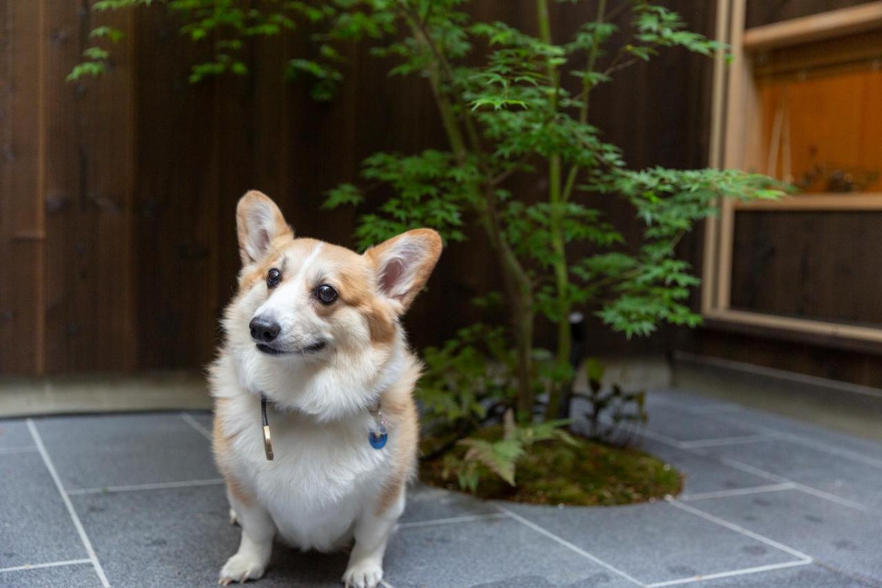 染 Sen 七条花畑 Shichijo-Hanabatake 京都市 エクステリア 写真